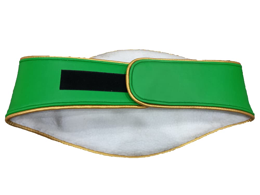 Amazon | WBCアジアボクシング評議会チャンピオンレプリカベルト